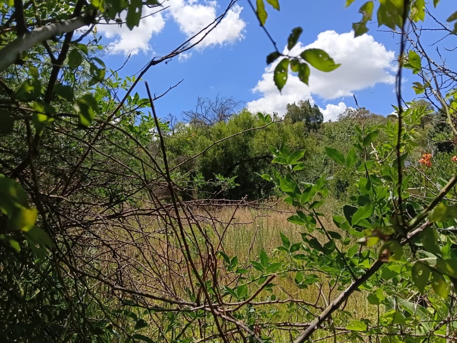 0 Bedroom Property for Sale in Senekal Free State